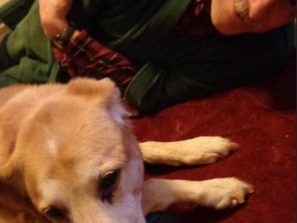 goodpooch animal shelter giveaway winner